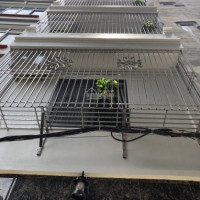 Bán Ccmn Trieuf Khúc 70m 6 Tầng 12 Phòng Khép Kín Giá 66 Tỷ Mặt Ngõ Thông Lh: 0343343353