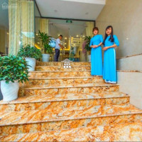 Bán Khách Sạn 11 Tầng 27 Phòng Ks Tại Mặt Phố Mễ Trì Hạ Nam Từ Liêm Hn (doanh Thu 800 Triệu/tháng)