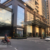 Bql Tòa Nhà Cho Thuê Văn Phòng Park View 36 Hoàng Cầu, Dt 100, 150, 200m2, Giá Thuê Từ 250 Nghìn