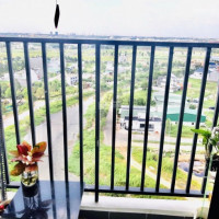 Cần Bán Gấp Marina Tower 3 Căn Hộ Sân Vườn 60 - 77m2, 1 - 3pn Và Sân Vườn 18m2, Nhà Mới 100%