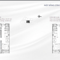 Chính Chủ Bán Cắt Lỗ Sâu Căn 3pn Sun Grand City - Thụy Khuê, Dt 127m2, Giá 81 Tỷ