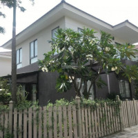 Chính Chủ Bán Nhanh Biệt Thự Sân Vườn Camellia Garden - Căn Góc 198m2 Full Nội Thất