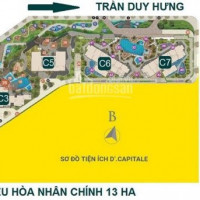 Chính Chủ Bán Nhanh Cắt Lỗ Căn Góc 110m2, 99m2, D'capitale Trần Duy Hưng, Giá 4,6 Tỷ