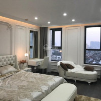 Chính Chủ Bán Nhanh Chcc Star Tower Dương đình Nghệ, Nhà đẹp Full Nội Thất, Dt 158m2, 4pn, 3 Wc Giá 4390 Tỷ