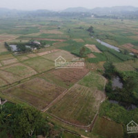 Chính Chủ Bán Nhanh Mảnh 5000m2 View Cánh đồng Cực đẹp