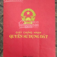 Chính Chủ Bán Nhanh Nhà Phân Ngõ Rộng 15m đường Hoàng Cầu, 140m2*8 Tầng + 1 Hầm, Căn Góc, Nhà Mới Hoàn Thiện