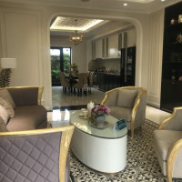 Chính Chủ Bán Nhanh Nhà Phố Kinh Doanh Mặt Tiền Hùng Vương, Phường 6,tân An 225m2 Giá Chỉ 31 Tỷ, Shr