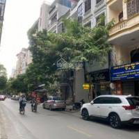 Chính Chủ Bán Nhanh Nhà Trần Quang Diệu: Phân Lô, ô Tô Tránh, 2 Thoáng, 50m2x4t, Hơn 10 Tỷ, Lh 0966752013