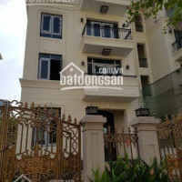 Chính Chủ Cần Bán Biệt Thự Vinhomes Golden River Ba Son, Giá Lỗ 10 Tỷ 225m2, Call 0977771919