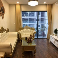 Chính Chủ Cho Thuê Nhanh Ch Giá Rẻ ở Golden Palace Mễ Trì 2pn 3pn 4pn đồ Cơ Bản, Full đồ Từ 8tr/th Lh 0961303855