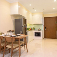 Chính Chủ Cho Thuê Nhanh Gấp, 1 Phòng Ngủ, Full Nt, 13 Triệu/tháng Bp, Vinhomes Central Park, Lh: 0938798860