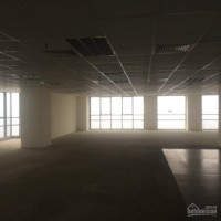 Chính Chủ Cho Thuê Nhanh Văn Phòng Quận đống đa, Phố Láng Hạ 40m2, 200m2, 350m2, Giá 160 Nghìn/m2/tháng