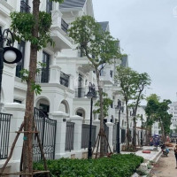 Chủ Nhà Cần Bán Nhanh Sl San Hô 08-06 Vinhomes Ocean Park Gia Lâm (151,47m2) 10,8 Tỷ, Lh 0966768388