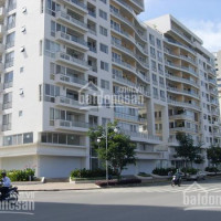 Chuyên Cho Thuê Căn Hộ Phú Mỹ Hưng 2pn-3pn, Duplex, Penthouse, Chỉ Từ 10tr/tháng Lh: 0938043429