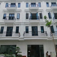 Cơ Hội đầu Tư Shophouse Kiến Hưng Luxury Với 2 Tỷ, Vay Vốn 0%/24 Tháng, Ck 65% Lh: 0981122869