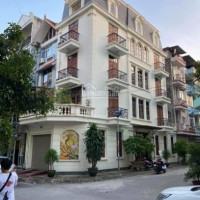 Cực Hiếm, Nhà Lk Kđt định Công: 5x95m2, Lô Góc Bề Thế, View Vườn Hoa, Kinh Doanh Bất Chấp, 142 Tỷ