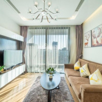 đang Trống Duy Nhất Căn Hộ Số 5 Vinhomes Nguyễn Chí Thanh Loại 2pn đầy đủ đồ Giá Rẻ View đông Nam