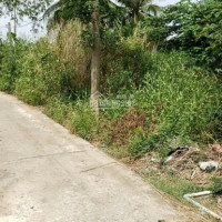 đất Xây Nhà Vườn Gần Cao Tốc Xã Mỹ Phú, Thủ Thừa, Long An