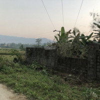 Do Nhu Câu Không Sử Dụng đên 5000có 100 đất ở ở Xã Nhuận Trách - Lương Sơn Hoà Binh