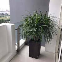 Hot Deal! Bán Gấp 3pn The Estella 124m2, Ban Công Rộng, Tầng đẹp, View Công Viên 7ha Giá 6,5 Tỷ