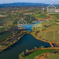 Khu Biệt Thự Compound Green Valley Chỉ 450 Triệu/500m2, Sổ Hồng Riêng Từng Nền Lh 0902580736