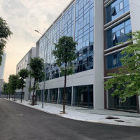 Siêu Phẩm Shophuose Mặt đường Tố Hữa Kinh Doanh Siêu đỉnh,sổ đỏ Từng Lô,nhận Nhà Ngay