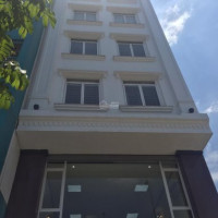 Tòa Building Mp Hoàng Cầu Diện Tích 235m2, Xây 10 Tầng (có 2 Hầm) Mt 9,3m Nở Hậu 12m Thông Sàn