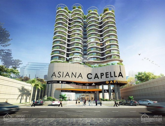 Asiana Capella Q6 Bán Nhiều Căn Hộ Giá Rẻ - đang Góp, Nhận Nhà đón Tết 2021- 0938295519- Từ 205 Tỷ 1