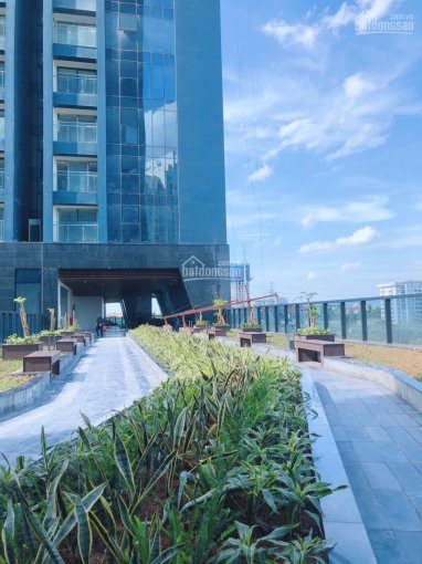 Bán Ch Sunshine City, Cắt Lỗ 2,8 Tỷ/2pn 80m2, Tầng Cao View Sông Hồng,nt Ngoại Nhập Dát Vàng,ở Ngay 12