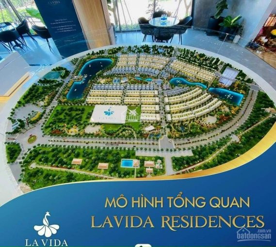 Bảng Giá Và Tiến độ Thanh Toán Dự án La Vida Residences Vũng Tàu, Mt đường 3/2 Cách Biển 500m 6