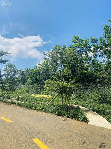 Bảo Lộc Park Hill - Nơi đầu Tư An Toàn, Sinh Lợi Nhuận Kép 5