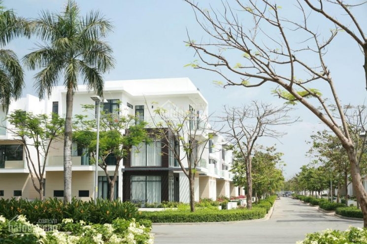 Biệt Thự Lucasta Villa Sl 230m2/20 Tỷ - đl 280m2/22 Tỷ - 320m2/25 Tỷ - 800m2 46/tỷ Hồ Bơi Riêng 6