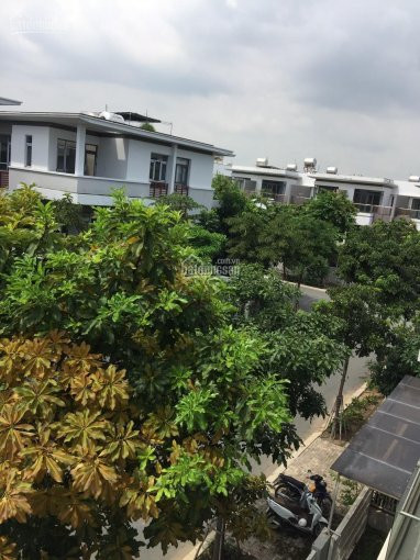 Biệt Thự Song Lập 190m2, Giá Cực Hời Chỉ 11,1 Tỷ, Nhà đẹp, Không Lỗi Phong Thủy Lh: 0902,746,319 6