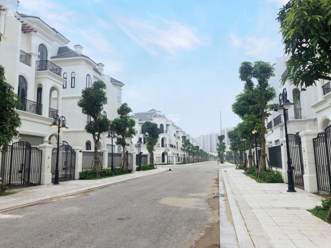 Biệt Thự Song Lập San Hô Vinhomes Ocean Park Diện Tích 135m2 Giá 11,6 Tỷ Bao Phí Liên Hệ 091134128 5