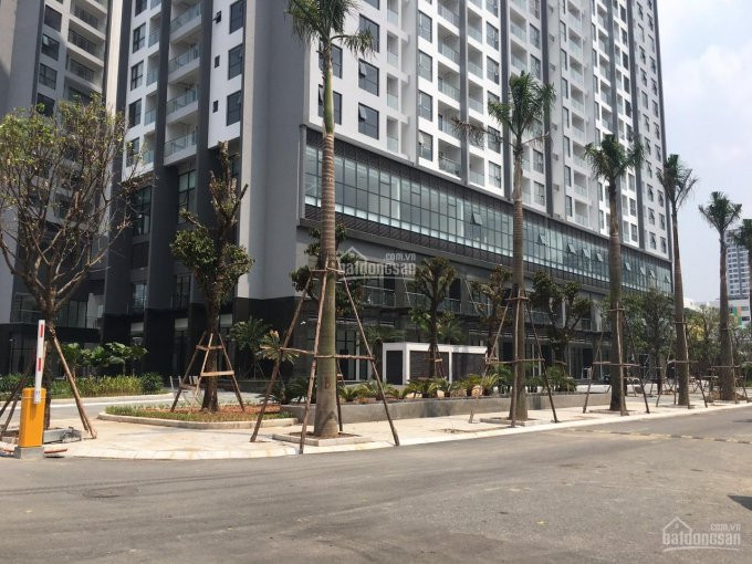 Bql Tòa Nhà Green Pearl 378 Minh Khai Cho Thuê Sàn Vp Diện Tích 78,8m2 đến 800m2 Giá Từ 200ng/m2/th 5