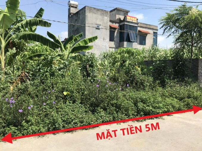 Cần Bán Mảnh đất 65m2 Tại Bìa Làng Thôn Mỹ Nội - Xã Bắc Hồng - đông Anh  Lh 0931729757 3