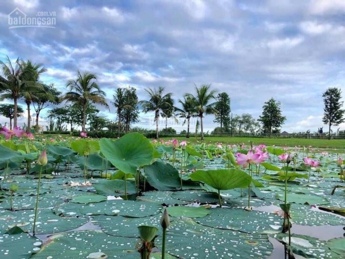 Căn Góc Biên Thoáng, Dự án Park Riverside Q9, Dt 5x15m, đã Có Sổ Hồng, Lh 0764617776 5