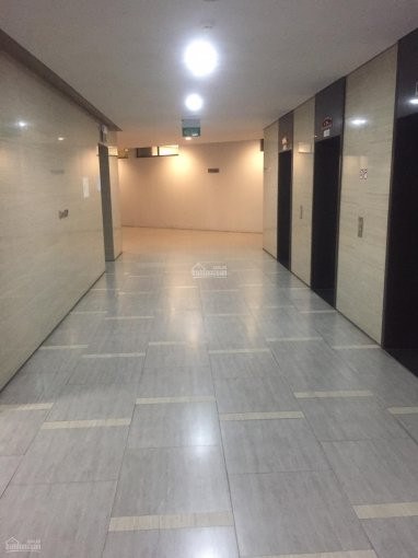 Căn Hộ 70m2 Dolphin Plaza, Giá 2 Tỷ Tròn, Ban Công Chính Nam, Cửa Chính Bắc, Tầng 18 Cực đẹp 7