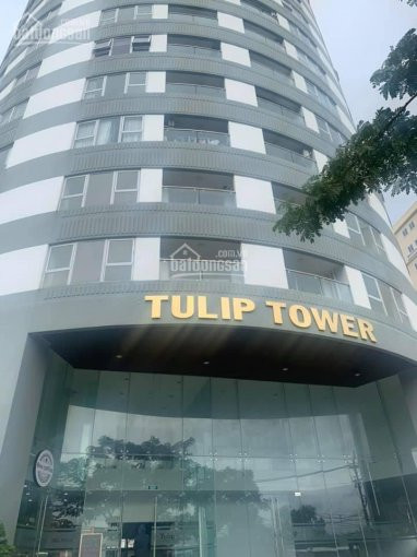 Căn Hộ Office Tel Tulip Tower Quận 7 Thiết Kế 2pn Giá Chỉ Từ 25tr/m2 Lh 076 675 4578 Quỳnh Châu 1