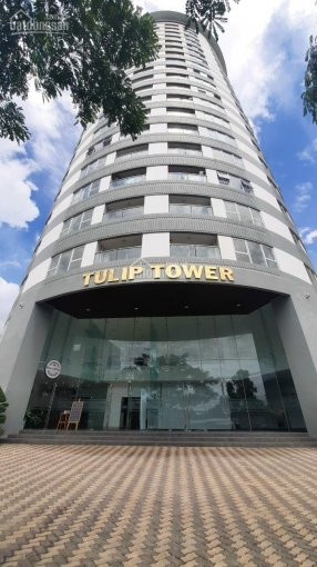 Căn Hộ Office Tel Tulip Tower Quận 7 Thiết Kế 2pn Giá Chỉ Từ 25tr/m2 Lh 076 675 4578 Quỳnh Châu 2