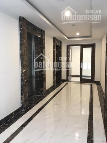 Căn Hộ Saigon Royal, 81m2, Giá 5,6 Tỷ, Lh 0938020908 Xem Nhà 1