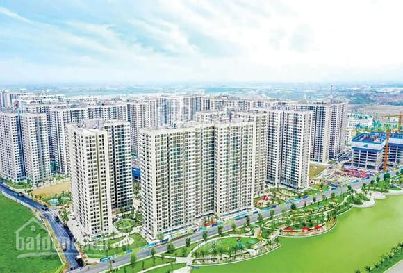 Cập Nhật Quỹ Căn Hộ Studio, 1n + 1, 2n + 1, 2n + 2, 3n Cho Thuê Rẻ Nhất Vinhomes Ocean Park 2