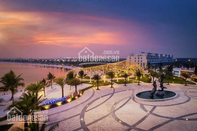 Cập Nhật Quỹ Căn Hộ Studio, 1n + 1, 2n + 1, 2n + 2, 3n Cho Thuê Rẻ Nhất Vinhomes Ocean Park 6