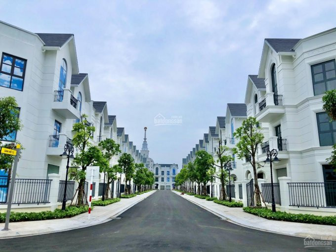 Cập Nhật Quỹ Căn Hộ Studio, 1n + 1, 2n + 1, 2n + 2, 3n Cho Thuê Rẻ Nhất Vinhomes Ocean Park 10