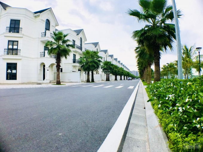 Chính Chủ Bán Biệt Thự 150 M2 Ngọc Trai 18 - 15 Vinhomes Ocean Park 2