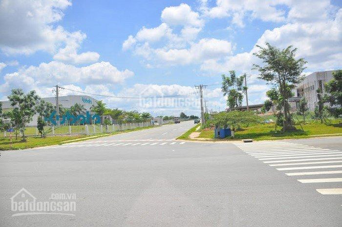 Chính Chủ Bán Gấp 2 Lô 1155m2 Ngay Nguyễn Cửu Phú Tt 975tr Shr Gần Chợ Dân đông Lh: 0938002986 1