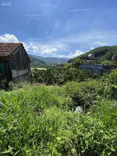 Chính Chủ Bán Mt Tỉnh Lộ 725 Qua đèo Tà Nung Lên Tt đà Lạt Chỉ 18km Gia Chỉ 17 Tỷ Lên Full Thổ Cư 2