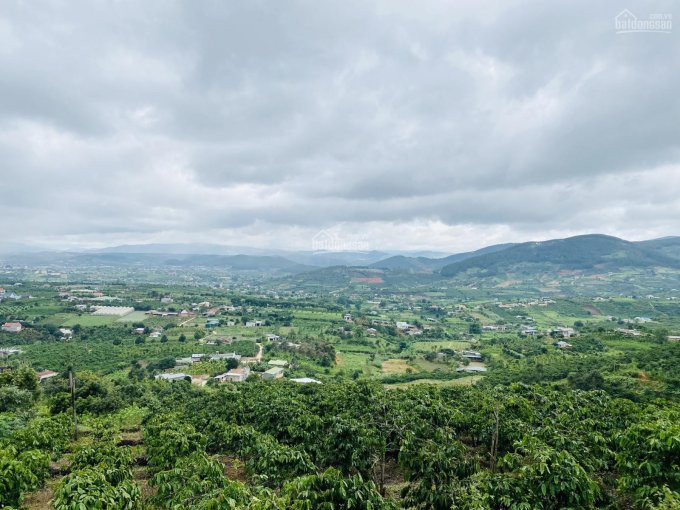 Chính Chủ Bán Mt Tỉnh Lộ 725 Qua đèo Tà Nung Lên Tt đà Lạt Chỉ 18km Gia Chỉ 17 Tỷ Lên Full Thổ Cư 8