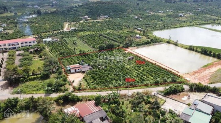 Chính Chủ Bán Nhanh 1,1 Ha đất Dành Cho Nghỉ Dưởng,nhà Vườn,quán ănhoặc đầu Tư Phân Lô 2