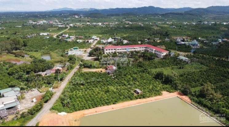 Chính Chủ Bán Nhanh 1,1 Ha đất Dành Cho Nghỉ Dưởng,nhà Vườn,quán ănhoặc đầu Tư Phân Lô 4